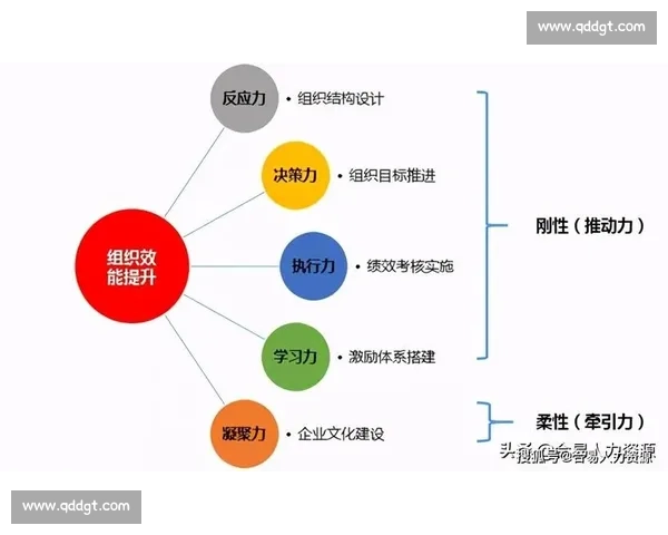 以员工满意为核心驱动企业高质量发展新路径探索提升组织效能与创新活力